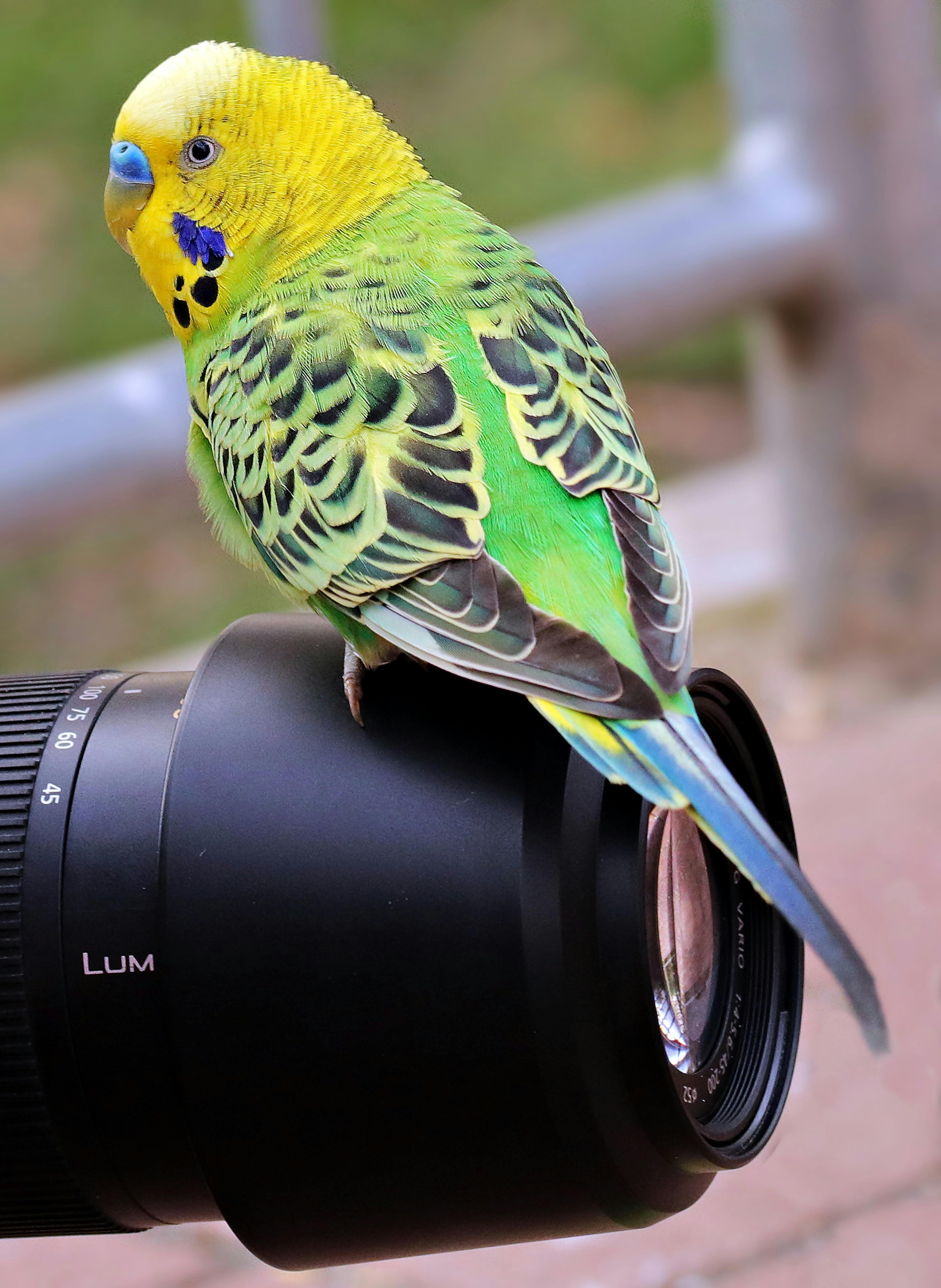 صورة 4